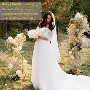Bulk Dried Baby's Breath - 3000+ Ivory White Flowers