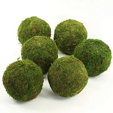 Koyal Wholesale 6-Pack Green Moss Balls, 6-Inch