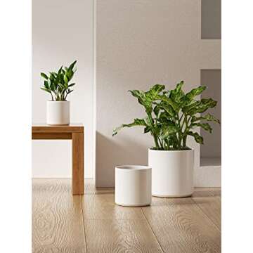 LE TAUCI Ceramic Plant Pots Indoor, 10 Inch 8 Inch 6 Inch Planters for Indoor Plants, Mid-Century Modern Flower Pots with Drainage Hole and Plug, Cylinder Round Planter Pots, Set of 3, White