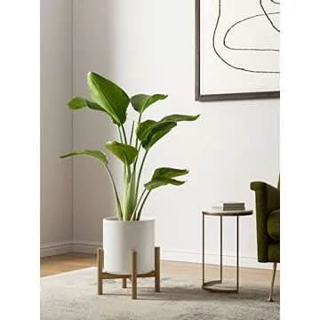 LE TAUCI Ceramic Plant Pots Indoor, 10 Inch 8 Inch 6 Inch Planters for Indoor Plants, Mid-Century Modern Flower Pots with Drainage Hole and Plug, Cylinder Round Planter Pots, Set of 3, White