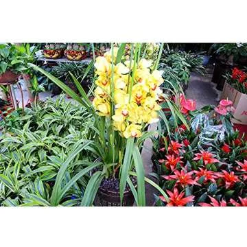 DECORA 18 Gauge Green Floral Stem Wire for Artificial Flower Making 16 inch,50/Package