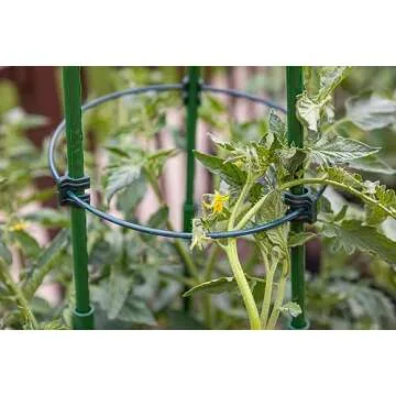 Gardzen 3-Pack Tomato Cage, Plants Support, Trellis Climbing Ring Cage, Stand for Pepper Eggplant Tomato Flowers