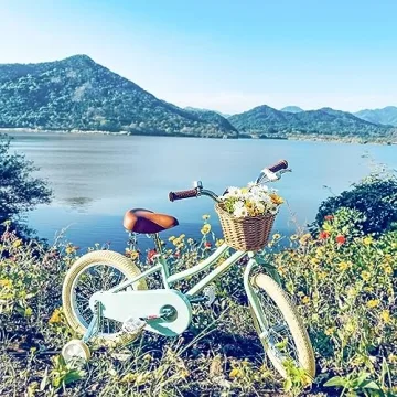 Petimini 16 Inch Kids Bike Vintage Style with Basket