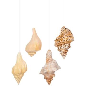 Hanging Shell Air Plant Holder – Set of 4 Airplant Planters - Air Plant Holders Unique - Tillandsia Sea Shell Air Plant Holders - Air Plant Pot - Air Plant Shells - Air Plant Décor Holder