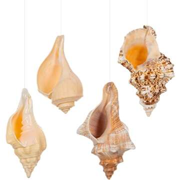 Hanging Shell Air Plant Holder – Set of 4 Airplant Planters - Air Plant Holders Unique - Tillandsia Sea Shell Air Plant Holders - Air Plant Pot - Air Plant Shells - Air Plant Décor Holder