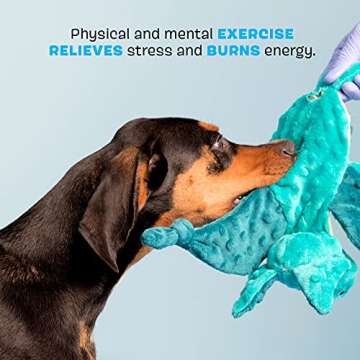 Barkbox Squeaky Dog Toys - Plush and Squeak Chew Toys | Puppy and Pet Toys for Small, Medium, and Large Dogs | Dingbert The Dragon