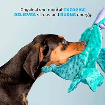 Barkbox Squeaky Dog Toys - Plush and Squeak Chew Toys | Puppy and Pet Toys for Small, Medium, and Large Dogs | Dingbert The Dragon