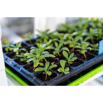 Bootstrap Farmer 1020 Trays, Green Extra Strength No Hole, 10 Pack, Seedling Tray for Growing Microg...