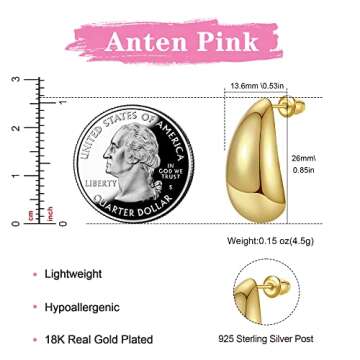 Stylish Anten Pink Chunky Gold Hoop Earrings for Women
