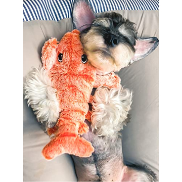 Flopping Lobster Toys for Cats & Dogs - Interactive & USB Rechargeable