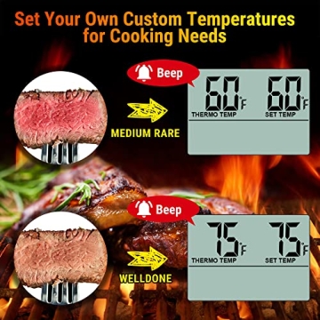 ThermoPro TP16 Large LCD Digital Meat Thermometer for Cooking