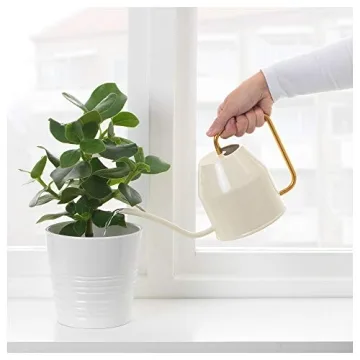 Ikea Gold Watering Can Stylish Functional Indoor Plant Care