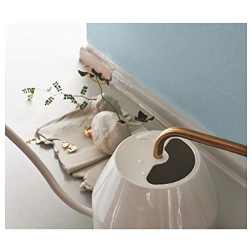 Ikea Gold Watering Can Stylish Functional Indoor Plant Care