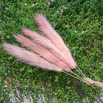 Pampas Grass Tall Extra Fluffy 48” for Elegant Decor