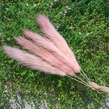 Pampas Grass Tall Extra Fluffy 48” for Elegant Decor
