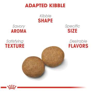 Royal Canin Medium Breed Adult Dry Dog Food, 30 lb bag