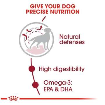 Royal Canin Medium Breed Adult Dry Dog Food, 30 lb bag