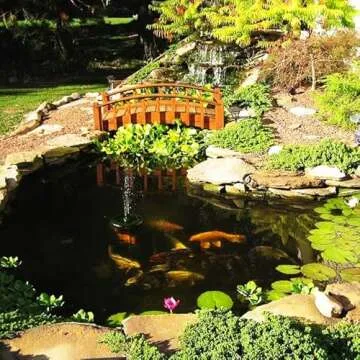 HALF OFF PONDS Complete PRO 5200 Water Garden and Pond Kit with 20 Foot x 30 Foot EPDM Liner - LH0