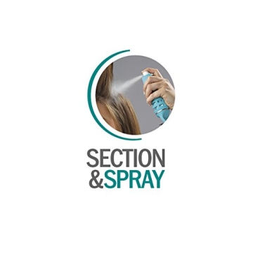 Conair Dry Shampoo Porcupine Brush for Effortless Styling