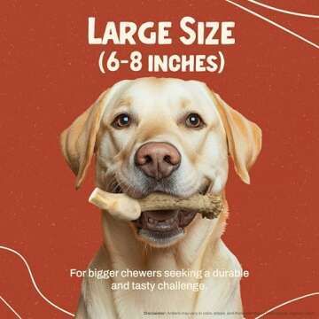 Heartland Deer Antlers for Dogs - Grade A, Naturally Shed Antlers | Dog Bones for Aggressive Chewers & Teething Puppies | Chew Toy for All Breeds | USA Made & Veteran Owned (Large: 6-8", 1-Pack)