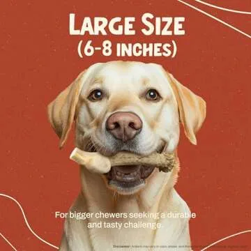 Heartland Deer Antlers for Dogs - Grade A, Naturally Shed Antlers | Dog Bones for Aggressive Chewers & Teething Puppies | Chew Toy for All Breeds | USA Made & Veteran Owned (Large: 6-8", 1-Pack)