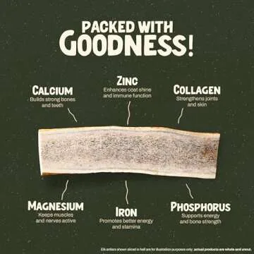 Heartland Deer Antlers for Dogs - Grade A, Naturally Shed Antlers | Dog Bones for Aggressive Chewers & Teething Puppies | Chew Toy for All Breeds | USA Made & Veteran Owned (Large: 6-8", 1-Pack)