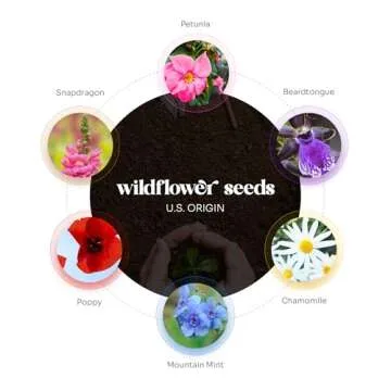 Seed Bloom Set of 24 Purple Butterfly – Plantable Seed Paper for Bridal Shower Weddings, and Gifts