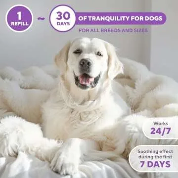 Calming Diffuser Kit for Happy Pets - Stress Free Solutions