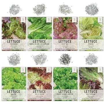 Seed Needs, Lettuce Seeds Variety Pack (Lettuce Lovers Collection) Iceberg, Red Romaine, Parris Island COS, Lollo Rosso, Ruby Red, Oakleaf, Black Seeded Simpson & Prizehead