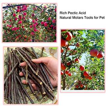 Organic Apple Sticks for Small Pets Chew Snacks