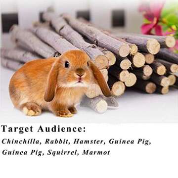 Organic Apple Sticks for Small Pets Chew Snacks