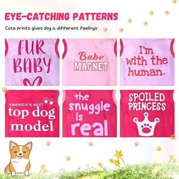 Jexine 6 Pack Chihuahua Dog T Shirts for Summer Fun