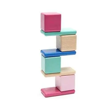 Tegu Magnetic Wooden Block Set Perfect for Toddlers