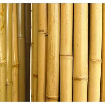Backyard X-scapes BAMA-BF023 Bamboo Fencing, 3/4" D x 6' x 8'L