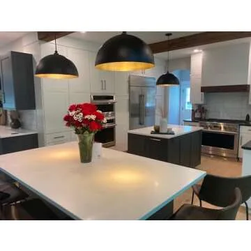 Melrose Pendant Light | Modern Farmhouse Style | 18-inch Dome