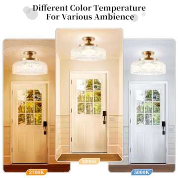 Lamomo Semi Flush Mount Ceiling Light, Upgraded Larger Golden Hallway Light Fixture, 3-Bulb Globe Glass Close to Ceiling Light,Indoor Hanging Light for Bedroom Kitchen Porch Hallway,Bulbs Not Included