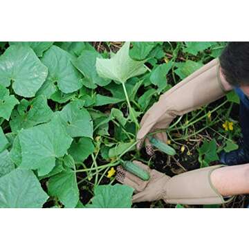 MAGID HandMaster Professional Rose Pruning Gloves, 144 Pairs, Size 9/Large, BE194T