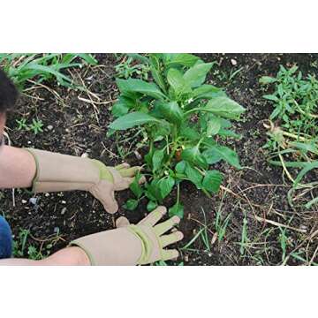 MAGID HandMaster Professional Rose Pruning Gloves, 144 Pairs, Size 9/Large, BE194T