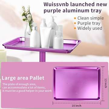 Wuissvnb Premium Aluminum Salon Tray with Wheels