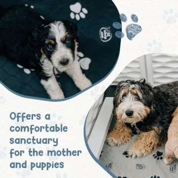 EZwhelp EZclassic 48" Whelping Box for Large Dogs