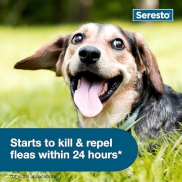 Seresto Small Dog Flea & Tick Treatment Collar - 8 Months