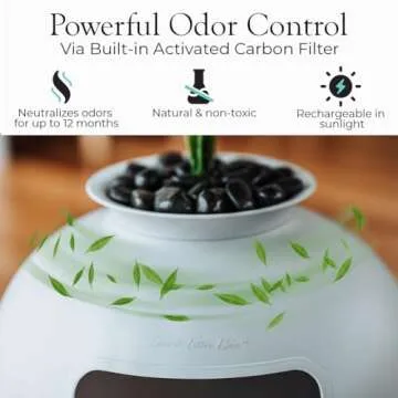 Secret Litter Box - Stylish Cat Litter Enclosure with Odor Control