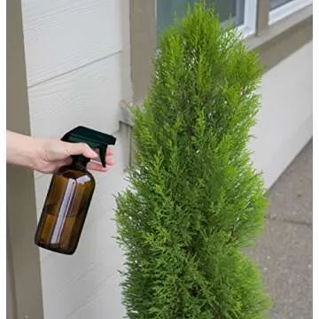 Youngever 4 Pack 16 Ounce Empty Glass Spray Bottles, Refillable Container for Essential Oils, Cleaning Products, or Aromatherapy, Trigger Sprayer with Mist and Stream Settings (Amber)