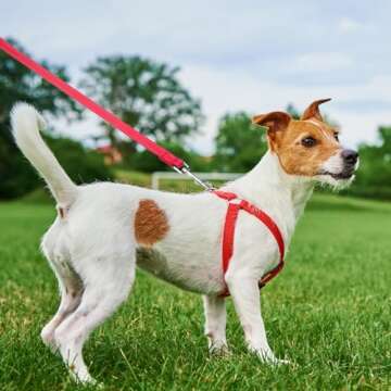 PUPTECK Reflective Short Dog Leash - 3 Packs 2.5ft/ 1.5ft/ 1ft Nylon Dog Leash with Strong Clip, and Soft Padded Handle, Durable Training Leash for Small Medium Large Dogs Cats Walking Outside Red