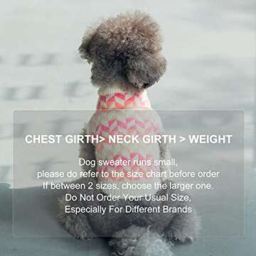ISPET Colorful Dog Sweater – Stylish Winter Wear for Small Pets