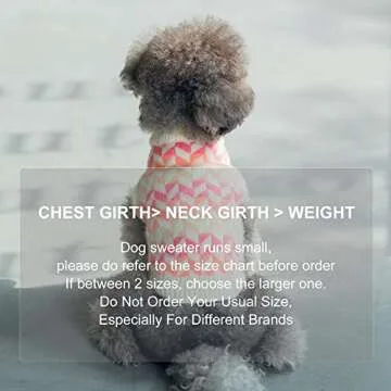 ISPET Colorful Dog Sweater – Stylish Winter Wear for Small Pets
