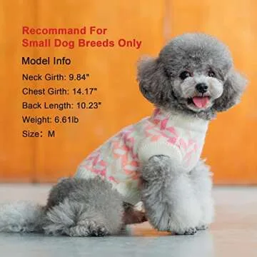 ISPET Colorful Dog Sweater – Stylish Winter Wear for Small Pets