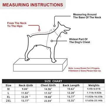 ISPET Colorful Dog Sweater – Stylish Winter Wear for Small Pets