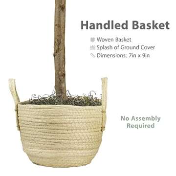 3FT Artificial Fig Tree - Low Maintenance Fake Fig Plant