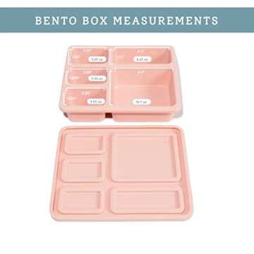 Austin Baby Co Leak-Proof Bento Lunch Box for Kids – Silicone Kids Lunch Container with 5 Leakproof Compartments – Food-Safe Materials, Sturdy, Dishwasher Safe, and BPA Free